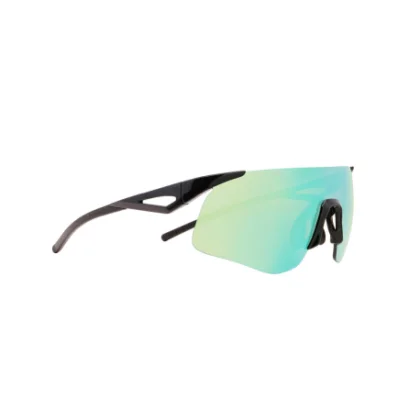 Napszemüvegek RED BULL SPECT MARK-04, black smoke with green mirror