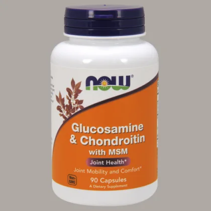 Glucosamine & Chondroitin with MSM - 90 Capsules