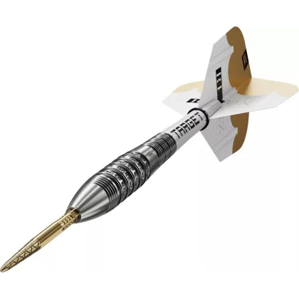 Darts szett Target Redux 02 Swiss Point Steeldarts 24g