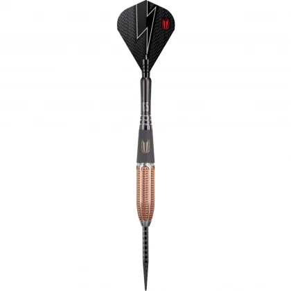 Darts szett TARGET steel 22g Phil Taylor Power 9five Gen5 95%