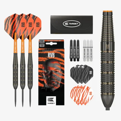 DART SZETT TARGET STEEL RAYMOND VAN BARNEVELD 22G, BRASS 2023