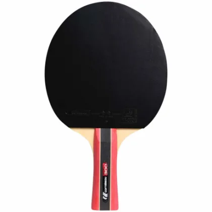 Asztali tenisz ütő CORNILLEAU SPORT 300 I