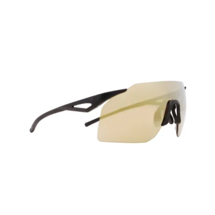 Napszemüvegek RED BULL SPECT GABE-04, black brown with gold mirror
