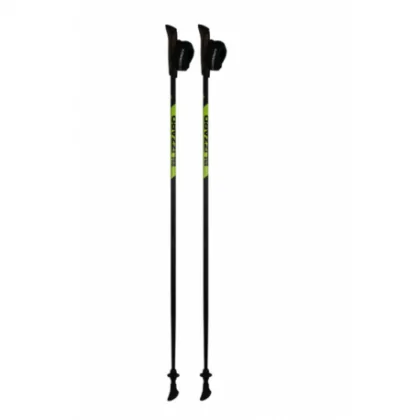 Nordic walking botok BLIZZARD Carbon Lite nordic walking poles, black green