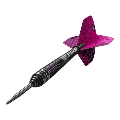 Darts szett TARGET Lorraine Winstanley GEN2 Swiss Point Steeldarts - 24g