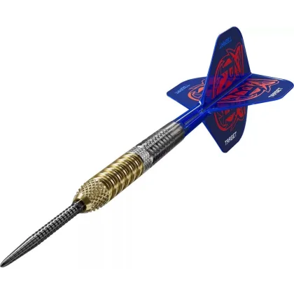 Darts szett Target Raymond Van Barneveld GEN6 Swiss Point Steeldarts 23g