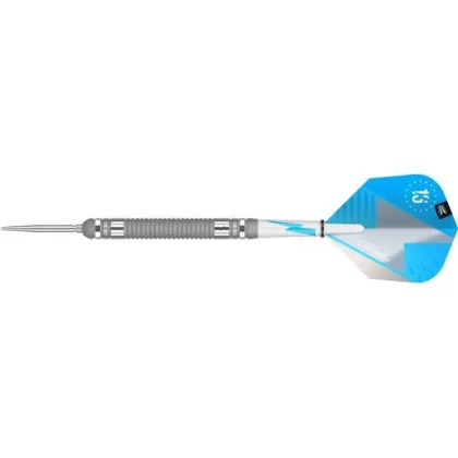 DART SZETT TARGET STEEL POWER SILVER, 24G, 80% WOLFRAM