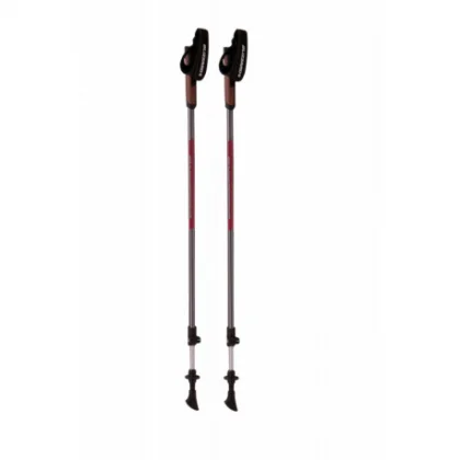 Nordic walking botok BLIZZARD Alu Performance nordic walking poles, anthracite pink