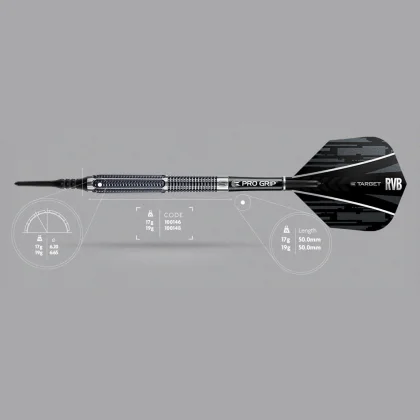 Darts szett Target, soft 19g Raymond van Barneveld, 95%, RVB
