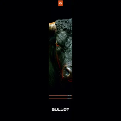 dart szőnyeg Bullet Fury 300 * 60 cm (dobóvonalakkal)