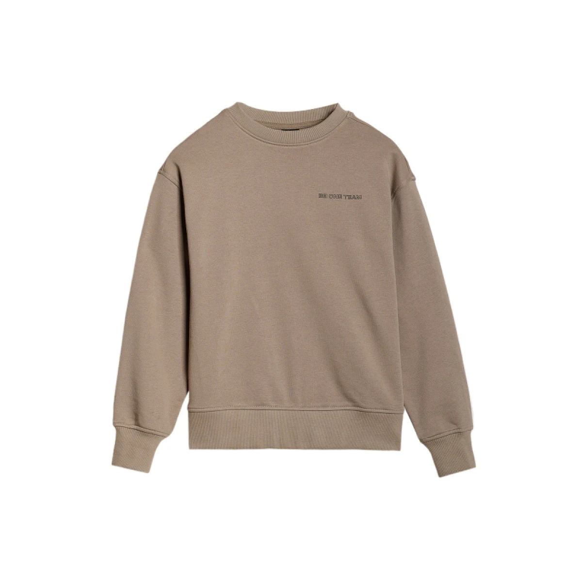 Fiú kapucnis pulóver 4F JUNIOR SWEATSHIRT-JWSS25TSWSM1713-83S-BEIGE - Pohlavie: Gyerek · záber 5