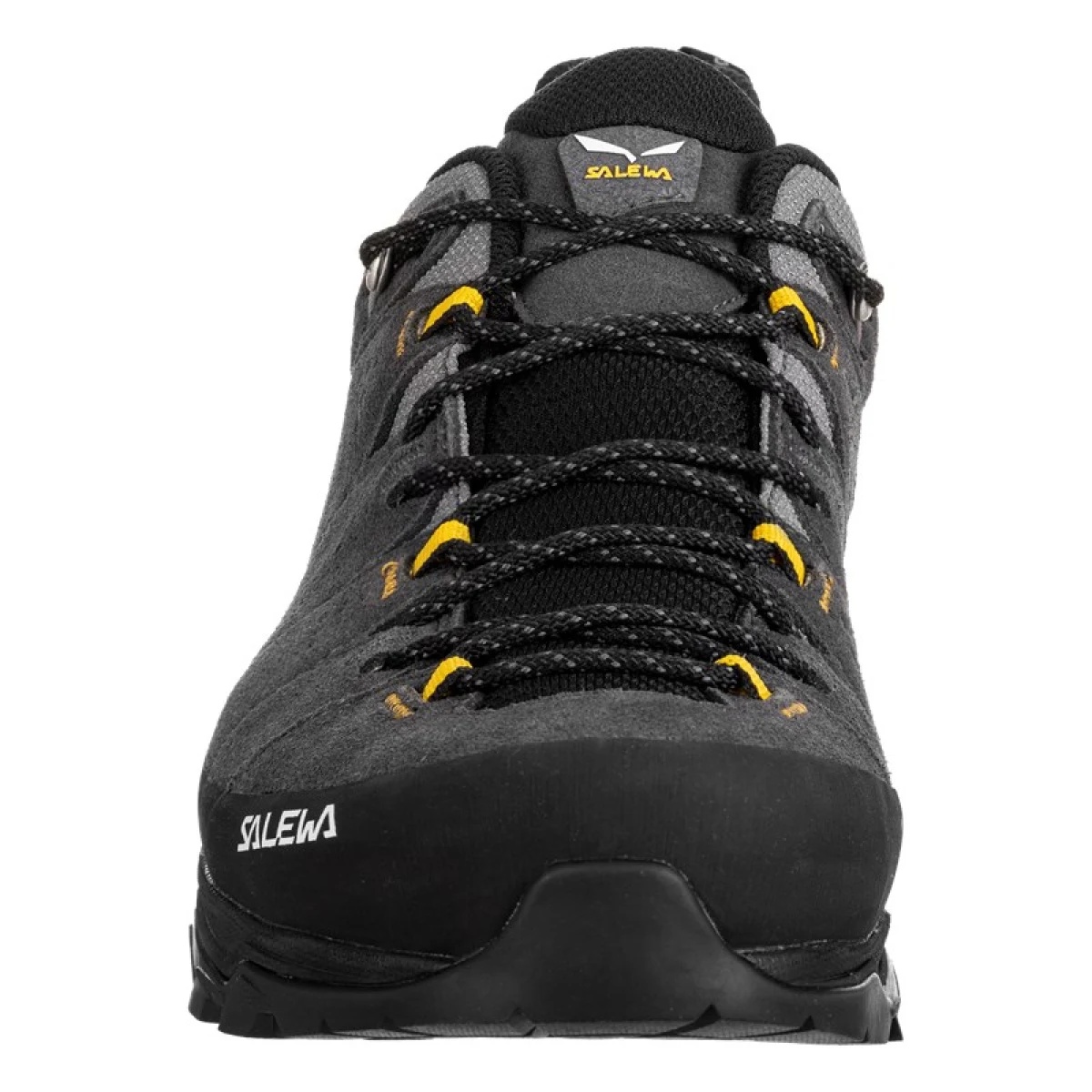 Férfi alacsony túracipő SALEWA Alp Trainer 2 GTX Shoe M onyx black · záber 5