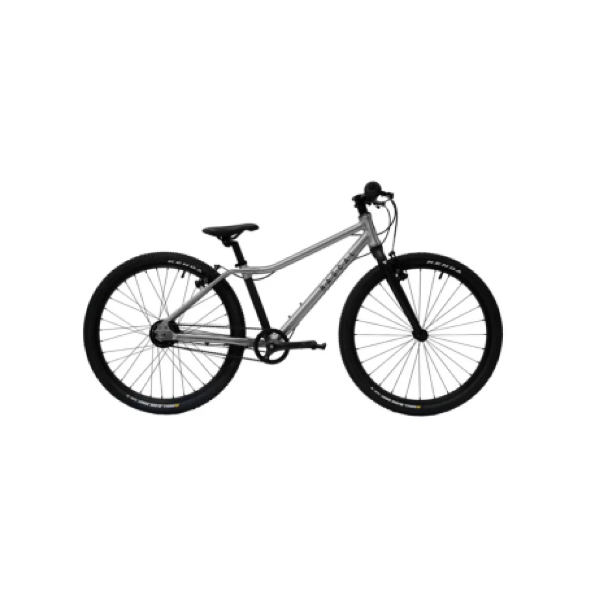 Junior hegyi kerékpár RASCAL 24 Nexus, titanium · záber 1