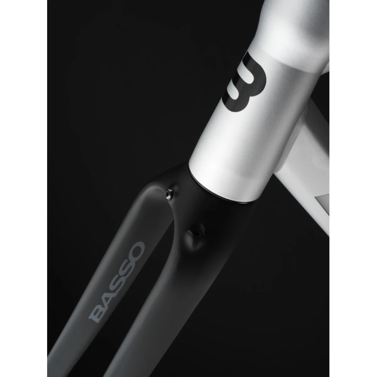 Gravel kerékpár BASSO Tera, silver, Shimano GRX 600, Microtech MX25 · záber 2