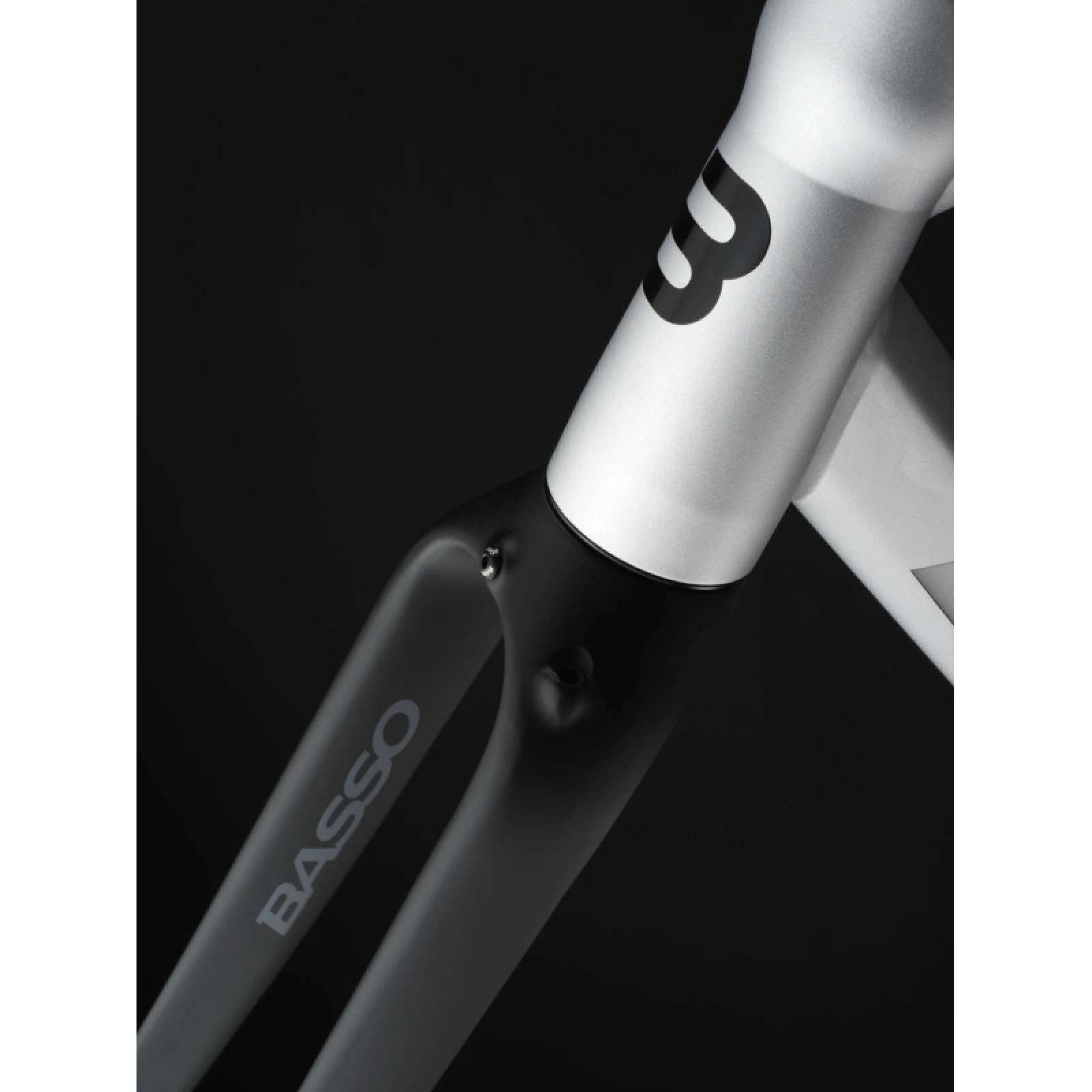 Gravel kerékpár BASSO Tera, silver, Shimano GRX 600, Microtech MX25 · záber 2