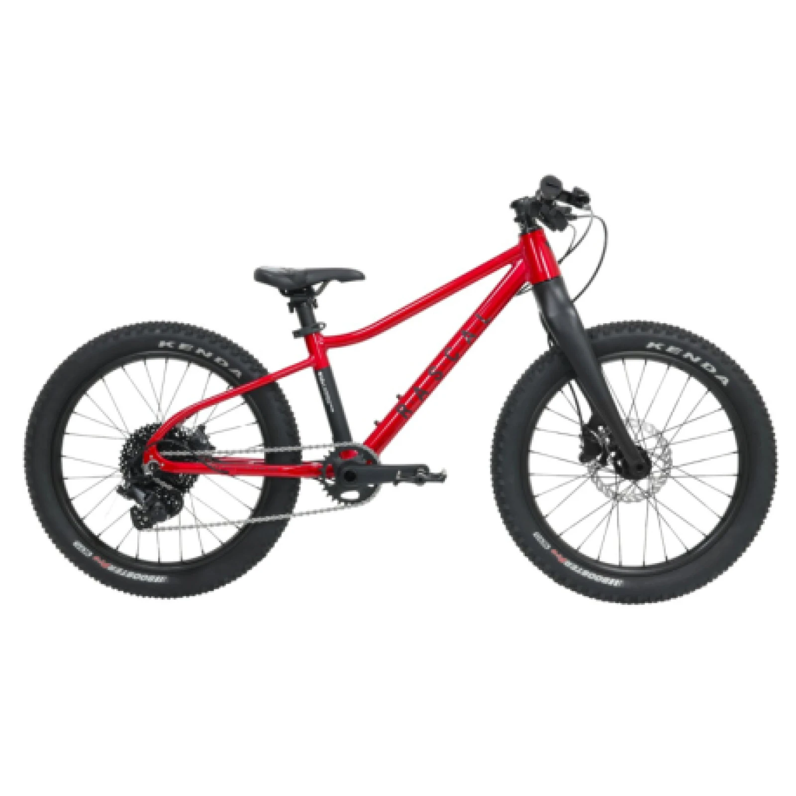 Gyerek hegyi kerékpár RASCAL Wild 20, ruby red · záber 1