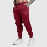 Férfi melegítőnadrág Iron Aesthetics ASTHX, bordó · záber 2