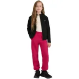 Lány polár pulóver cipzárral 4F JUNIOR FLEECE F346-4FJWAW25TFLEF346-20S-DEEP BLACK · záber 4