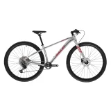 Junior hegyi kerékpár AMULET 29 Youngster 1.11 SH, alu brushed transparent red · záber 2