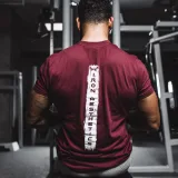 Férfi fitness póló Iron Aesthetics Force, bordó · záber 3