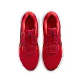 Férfi sportcipők (edzőcipők) NIKE Downshifter 13 M gym red black light crimson · záber 4
