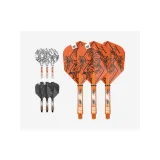 DARTS TOLL+SZÁR TARGET RAYMOND VAN BARNEVELD INK, KÖZEPES SZÁR · záber 2
