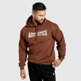 Férfi kapucnis pulóver Iron Aesthetics Frontline, cocoa · záber 4