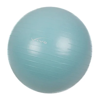 Piłka gimnastyczna+pompka 55cm Vivo FA-2055