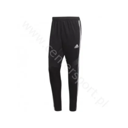 SPODNIE MĘSKIE ADIDAS TIRO19 TR PNT