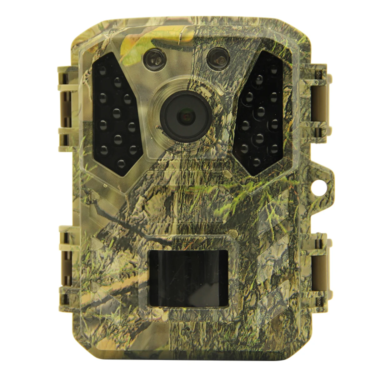 Fotopułapka TETRAO Ninox 32 Mpx 940 nm · záber 1