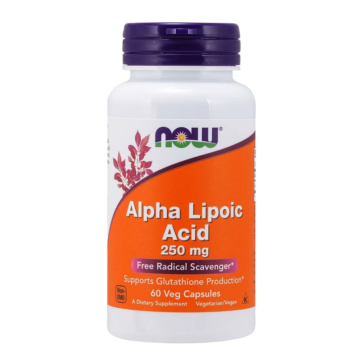 NOW Foods Kwas alfa liponowy250 mg · záber 1