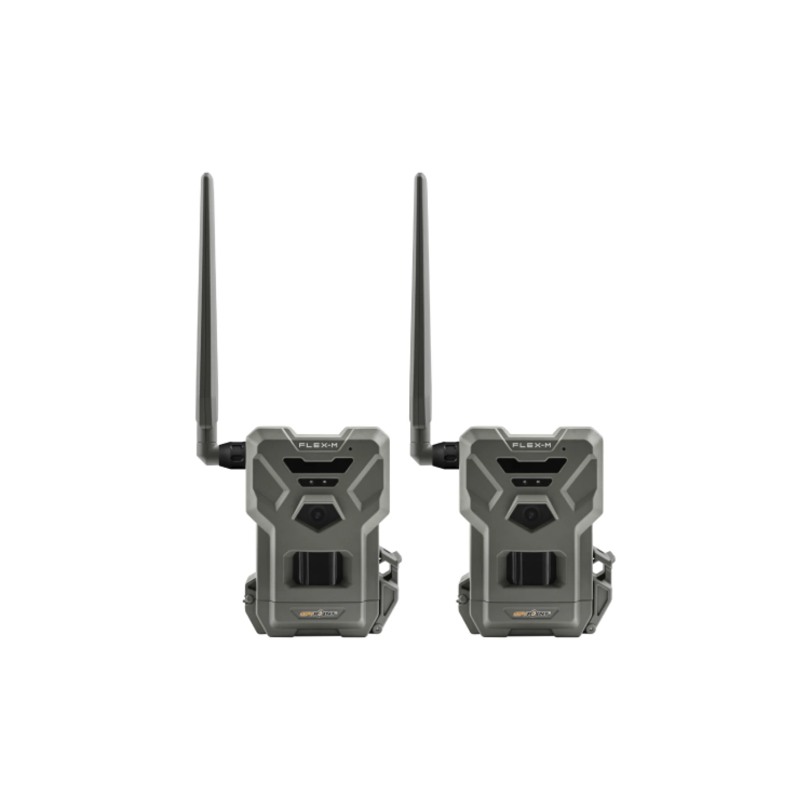 Fotopułapka Spypoint FLEX-M 28 Mpx dwupak w promocyjnej cenie + 4 karty SIM GRATIS · záber 1