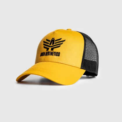 Șapcă pentru bărbați Iron Aesthetics Boost, mustard/black
