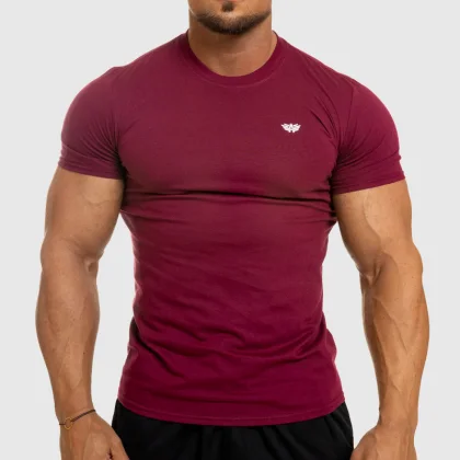 Tricou fitness pentru bărbați Iron Aesthetics Standard, vișiniu