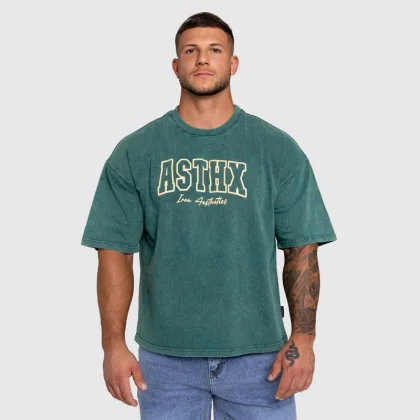 Tricou pentru bărbați Iron Aesthetics ASTHX, washed green
