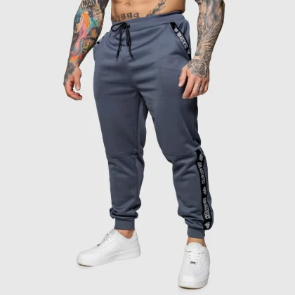Pantaloni de trening Jogger Iron Aesthetics Partial, gri