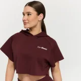 GymBeam Hanorac pentru femei Relay Cropped Fig · záber 1