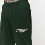 GymBeam Pantaloni sport Varsity Green · záber 4