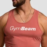 GymBeam Maiou Limitless Cinnamon · záber 2