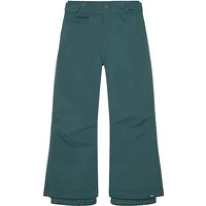 Roxy Hlače za snowborad Backyard ERGTP03053 Roza Regular Fit
