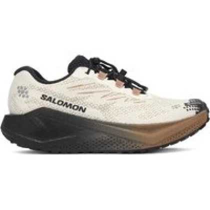 Salomon Tekaški čevlji Aero Blaze 4 gtx GORE-TEX L45403900 Bež