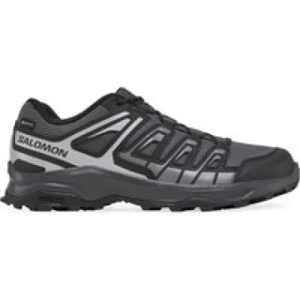 Trekking čevlji Salomon Extegra Gore-Tex L47768800 Siva