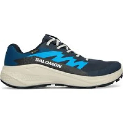 Tekaški čevlji Salomon Alphaglide Gtx L47975100 Modra
