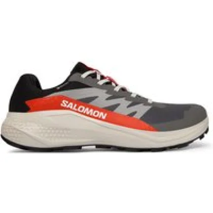 Salomon Tekaški čevlji Alphaglide Gore-Tex L47975300 Siva