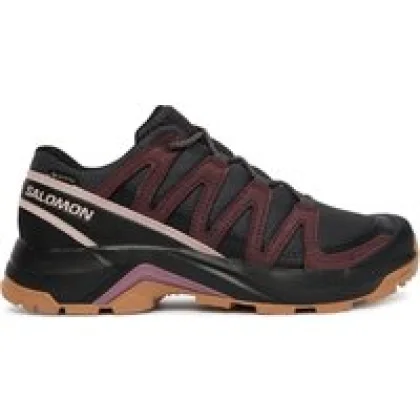 Trekking čevlji Salomon X-Adventure Recon Gtx L49096600 Rjava