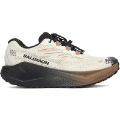 Tekaški čevlji Salomon Aero Blaze 4 gtx GORE-TEX L45403900 Bež