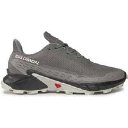 Tekaški čevlji Salomon Alphacross 5 473133 29 W0 Siva