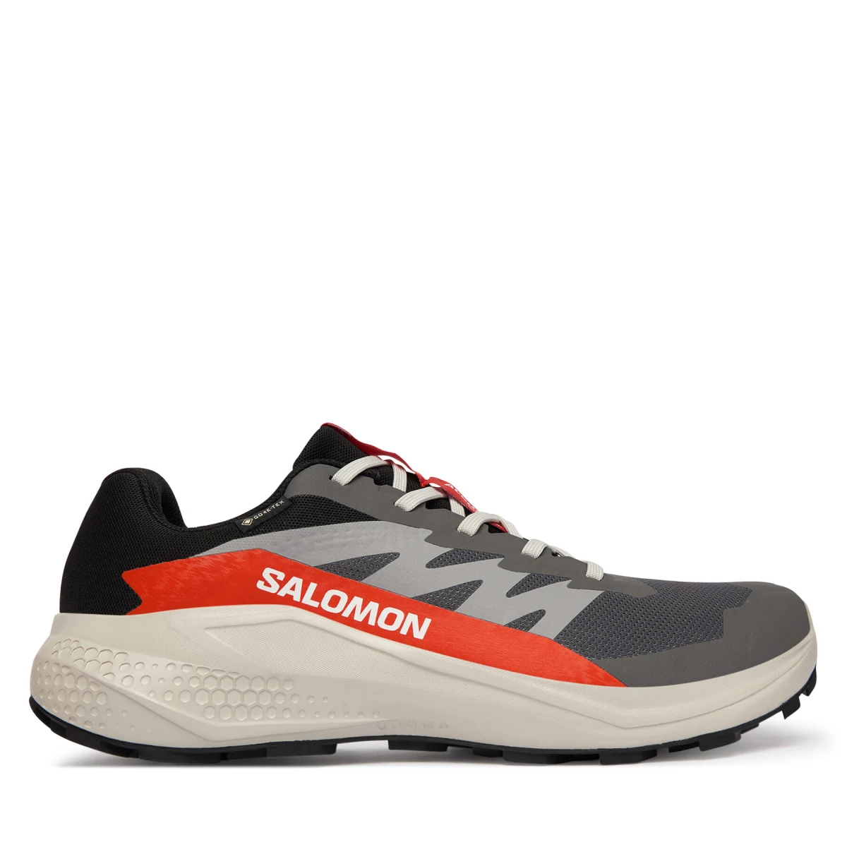 Tekaški čevlji Salomon Alphaglide Gore-Tex L47975300 Siva · záber 2