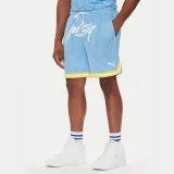 Puma Športne kratke hlače Hoops Manchester City 631694 Svetlo modra Regular Fit - Velikost: XXL | Barva: modrá | Starostna skupina: Odrasli | Spol: Moški · záber 2