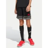 adidas Športne kratke hlače Squadra 25 JN4448 Črna Regular Fit · záber 1